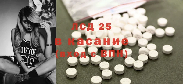 spice Богданович