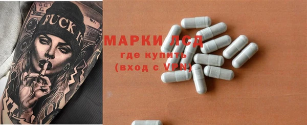 spice Богданович
