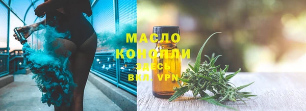 гидра Богородск