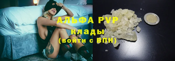 гидра Богородск