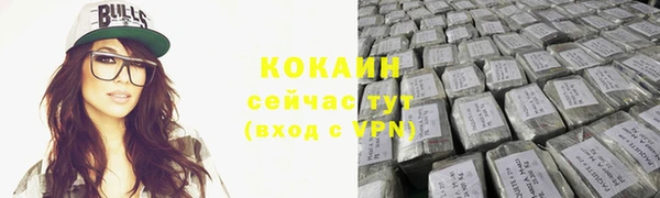 гидра Богородск