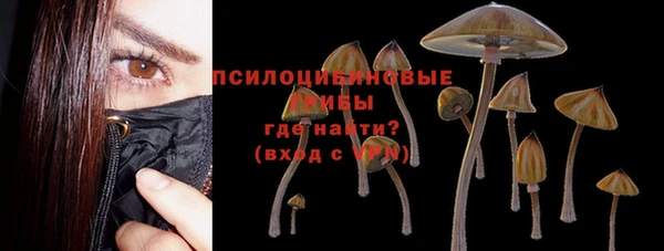 spice Богданович