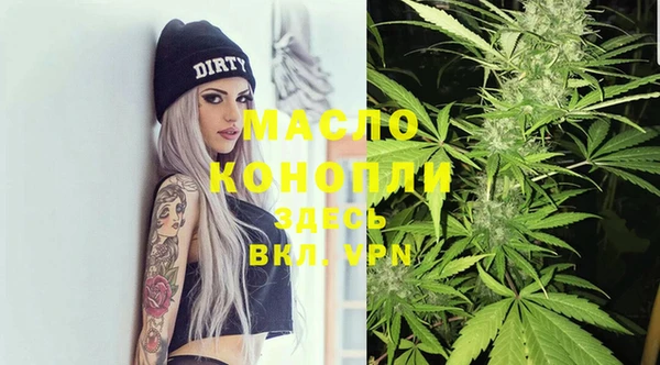 гидра Богородск