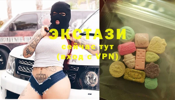 гидра Богородск