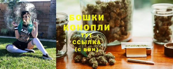 spice Богданович