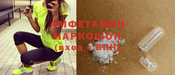 гидра Богородск