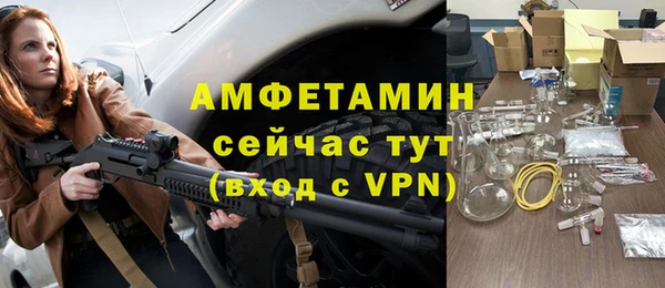 гидра Богородск