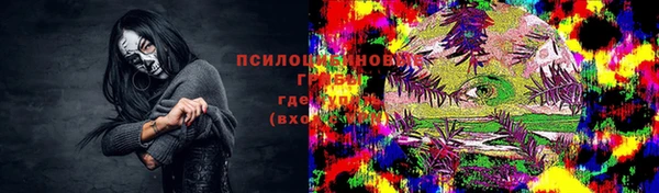 гидра Богородск