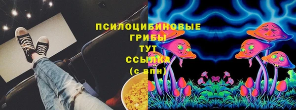 твердый Медногорск
