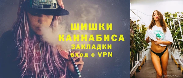 гидра Богородск