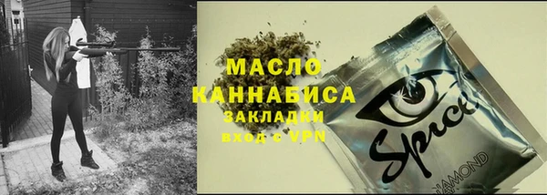 spice Богданович