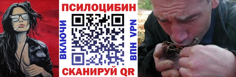 Купить закладки  Ардатов  Галлюциногенные грибы Psilocybe 